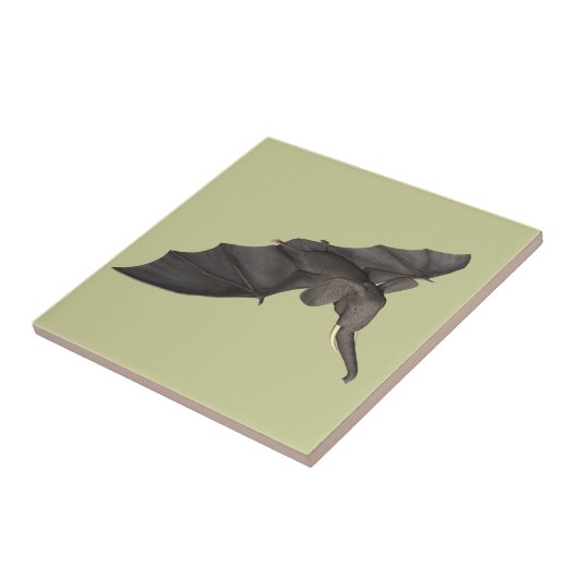 Bat Elephant Hybrid Tegeltje (Zijkant)