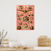 Bat Face Poster (Keuken)