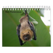 Bat/Fledermaus als Kalender (Hoes)