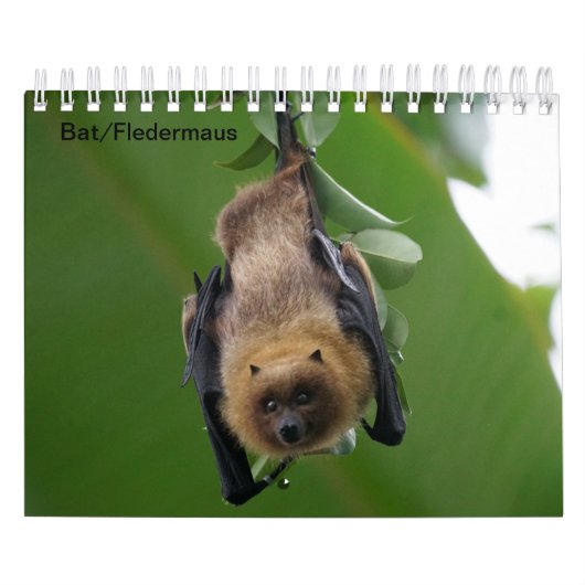 Bat/Fledermaus als Kalender (Hoes)