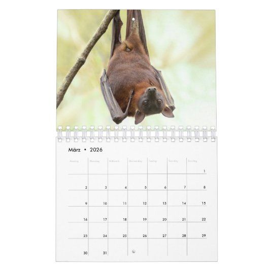 Bat/Fledermaus als Kalender (Mar 2026)