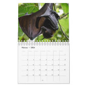 Bat/Fledermaus als Kalender (Feb 2026)