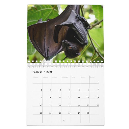 Bat/Fledermaus als Kalender (Feb 2026)