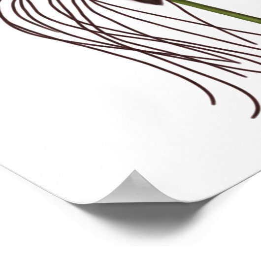 Bat Flower Illustration Poster (Hoek)