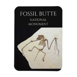 Bat Fossil, Fossil Butte Nationaal Monument Magneet