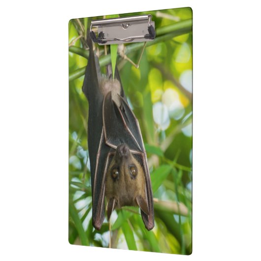 Bat Klembord (Links)