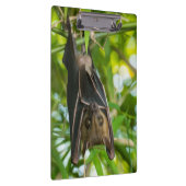 Bat Klembord (Rechts)