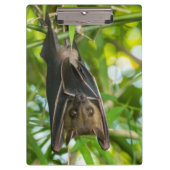Bat Klembord (Voorkant)