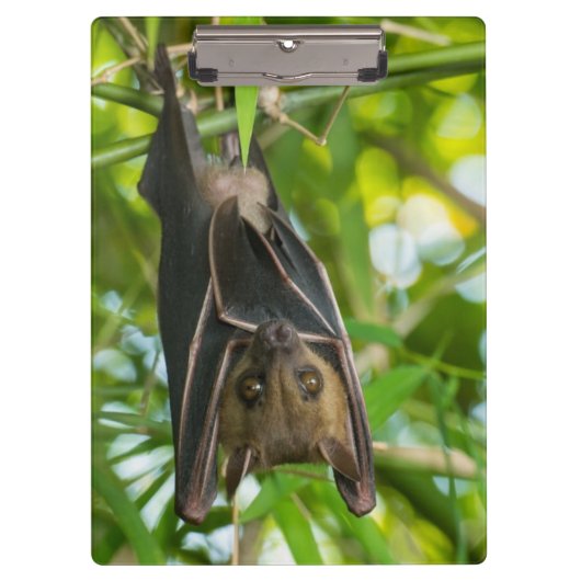 Bat Klembord (Voorkant)