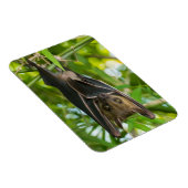 Bat Magneet (Rechterzijde)