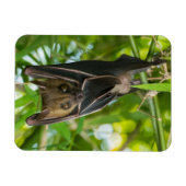 Bat Magneet (Horizontaal)