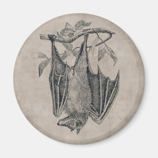 Bat Magnet (Voorkant)