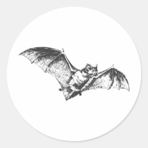 Bat Mark Ronde Sticker