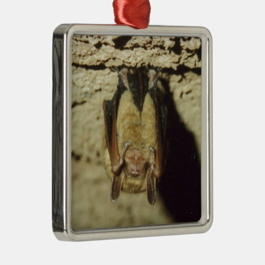 Bat Metalen Ornament (Rechts)