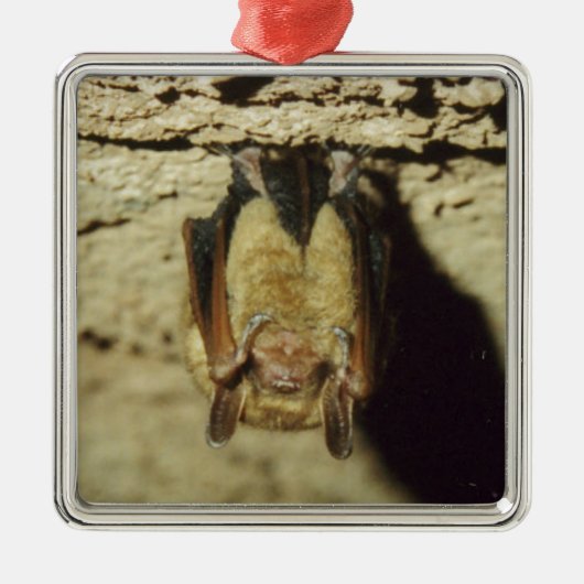 Bat Metalen Ornament (Voorkant)