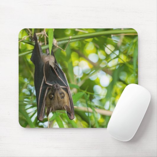 Bat Muismat (Met muis)