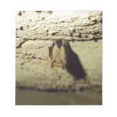 Bat Notitieblok (Voorkant)