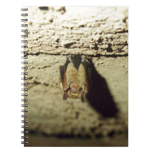 Bat Notitieboek (Voorkant)