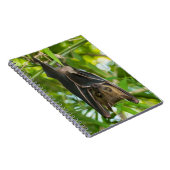 Bat Notitieboek (Rechterzijde)