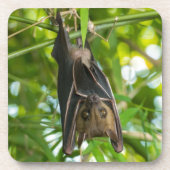 Bat Onderzetter (Voorkant)