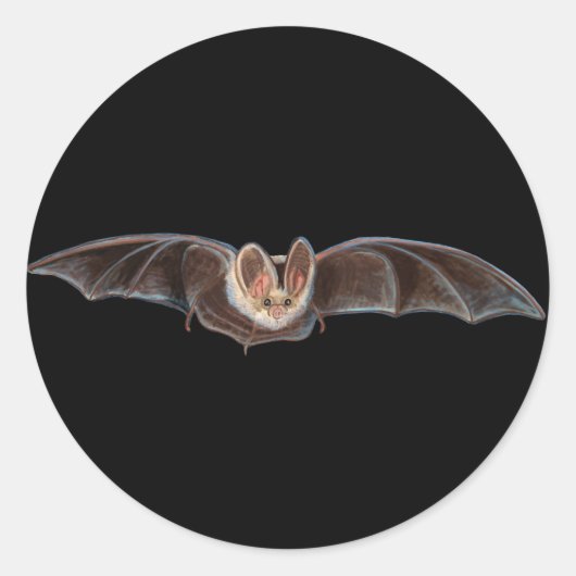 Bat Pipistrellus pipipistrellus Illustratie Ronde Sticker (Voorkant)