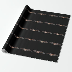 Bat Pipistrellus pipistrellus Illustratie Zwart Cadeaupapier