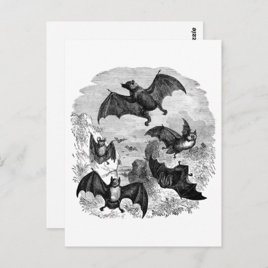 Bat Sketch Briefkaart (Voorkant / Achterkant)