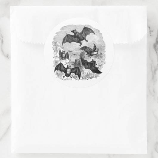 Bat Sketch Ronde Sticker (Tas)