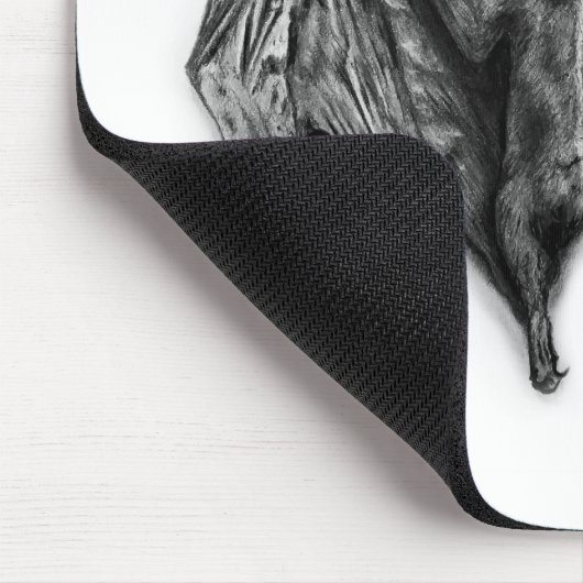 Bat Specimen Muismat (Hoek)