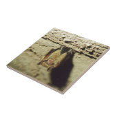 Bat Tegeltje (Zijkant)