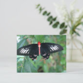 Bat Wing Butterfly Briefkaart (Staand voorkant)
