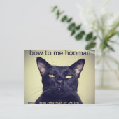 Batcat: Bow voor me Briefkaart (Staand voorkant)