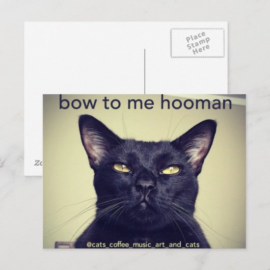 Batcat: Bow voor me Briefkaart (Voorkant / Achterkant)
