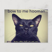 Batcat: Bow voor me Briefkaart (Voorkant)
