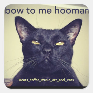 Batcat: buig voor me hooman Sticker