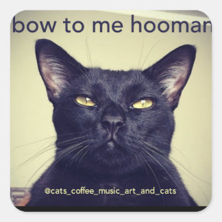 Batcat: buig voor me hooman Sticker