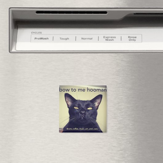 Batcat: Buig voor mij hooman Magnet (Insitu (Vaatwasser))