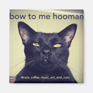 Batcat: Buig voor mij hooman Magnet