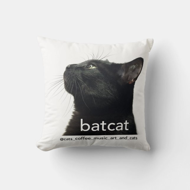 Batcat: Drijpkussen (tweezijdig ontwerp) Kussen (Voorkant)