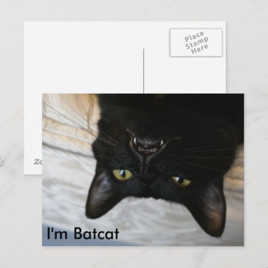 Batcat: Ik ben Batcat Briefkaart (Voorkant / Achterkant)