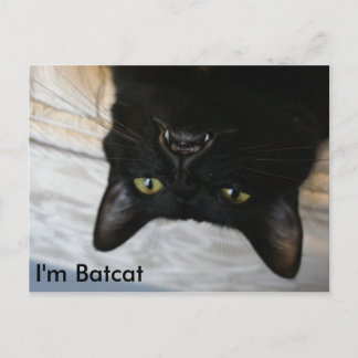 Batcat: Ik ben Batcat Briefkaart