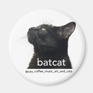 Batcat: magneet
