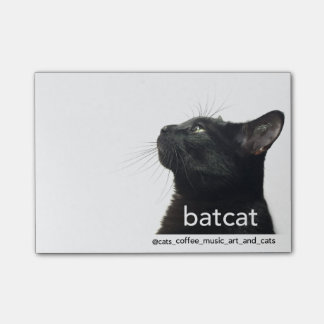 Batcat: Post-it notities Post-it® Notes