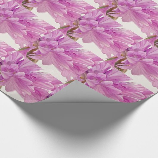 Batchelor-Button Cadeaupapier (Hoek)