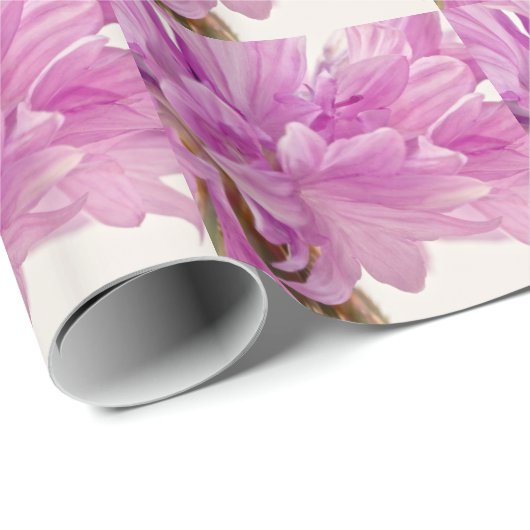 Batchelor-Button Cadeaupapier (Rol Hoek)