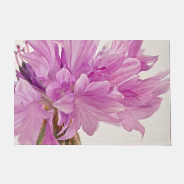 Batchelor-Button Deurmat (Voorkant)