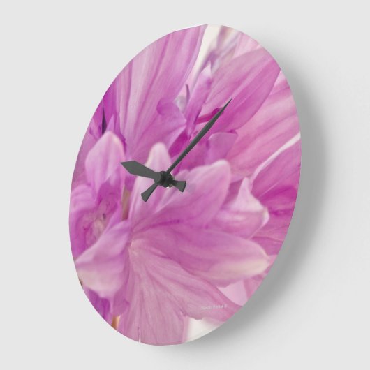 Batchelor-Button Grote Klok (Hoek)