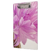 Batchelor-Button Klembord (Links)