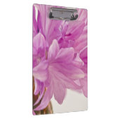 Batchelor-Button Klembord (Rechts)