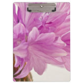 Batchelor-Button Klembord (Voorkant)